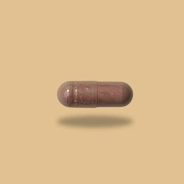 Ginkgo Biloba Extract